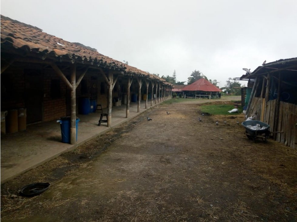 LOTE CON RENTA EN VENTA EN ALTO TABLAZO MANIZALES — foto 6