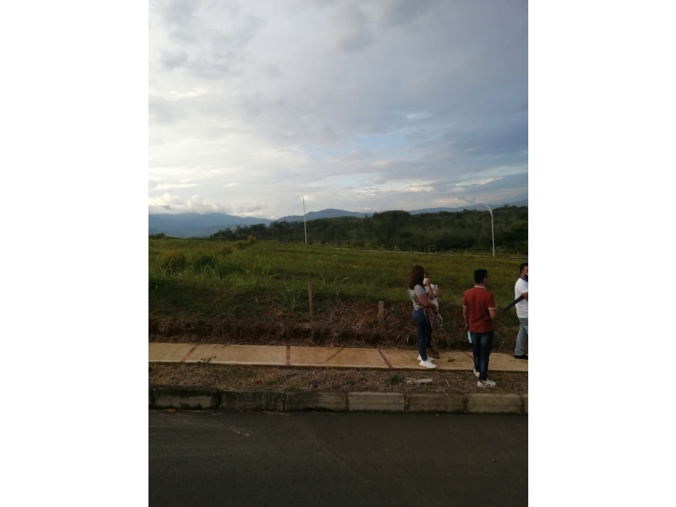 VENTA LOTE VIRGINIA Y VITERBO, CALDAS - 6