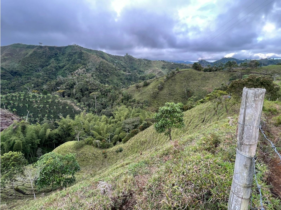 VENTA DE FINCA EN VEREDA PARAMILLO, FRESNO, TOLIMA - 5