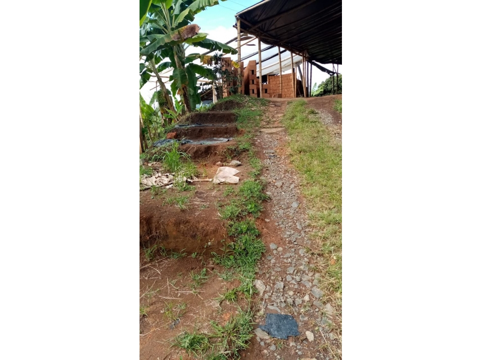 VENTA FINCA VEREDA EL DESCANSO NEIRA 108.800m² | FINCA EN VENTA - 5