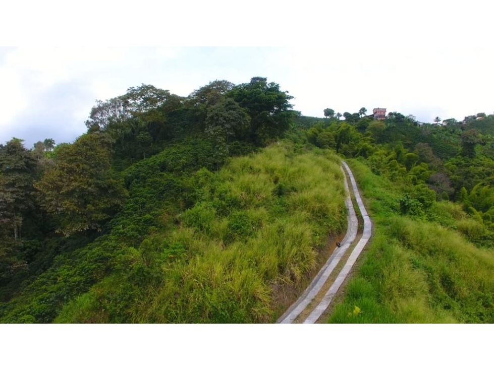 VENTA LOTE 77.298m² EL TAMBOR SAN PEREGRINO MANIZALES | LOTE RURAL — foto 5
