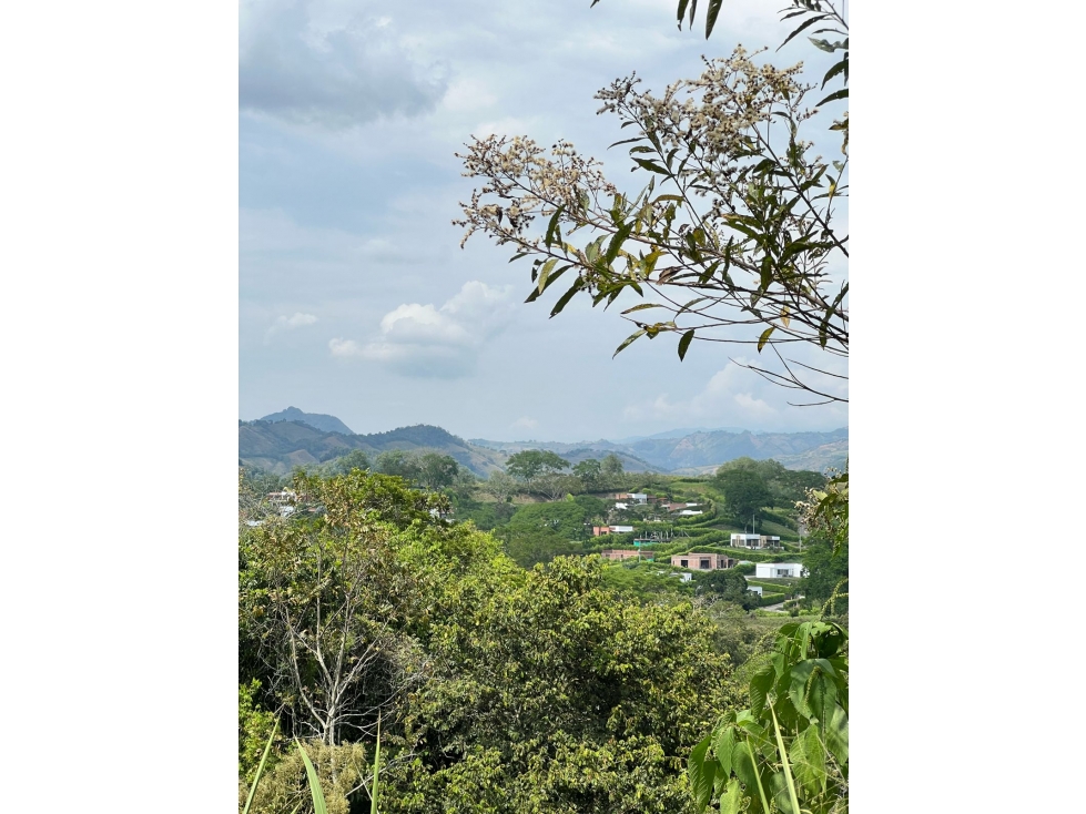 VENTA LOTE KM 41 PALESTINA | LOTE BARATO EN VENTA - 6
