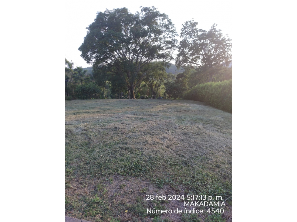 VENTA LOTE CONJUNTO CERRADO KM 41 PALESTINA | LOTE 1500 m² - 5