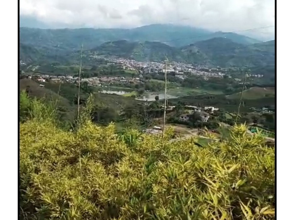VENTA LOTE CHINCHINÁ A 8 MINUTOS | LOTE CHINCHINÁ - 6