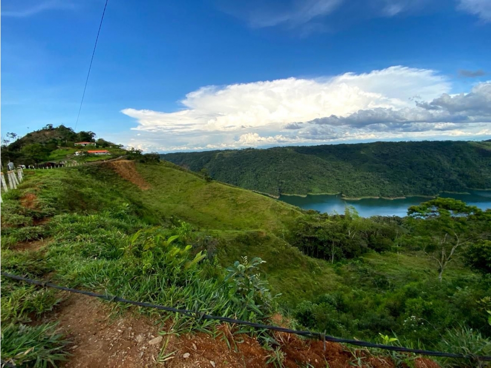 VENTA LOTE EN NORCASIA, CALDAS 10.000m² | LOTES EN VENTA EN NORCASIA - 6
