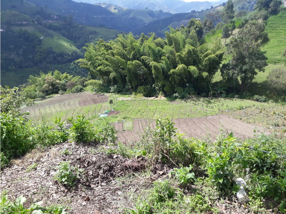 LOTE EN VENTA EN LA SIRIA, MANIZALES | VENTA DE LOTES — foto 4