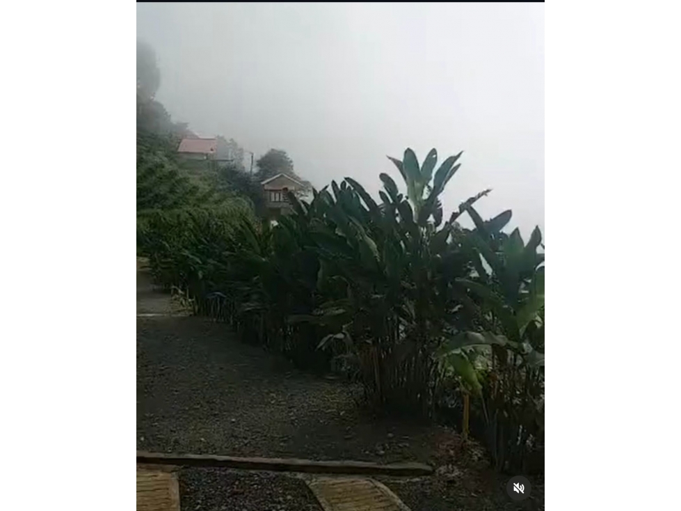 FINCA EN VENTA EN ALTO DEL NARANJO MANIZALES | CASA CAMPESTRE — foto 5