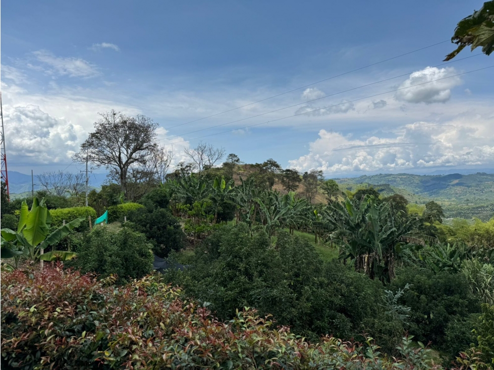 CASA CAMPESTRE EN VEREDA EL TRÉBOL CHINCHINÁ | VENTA CASA — foto 5
