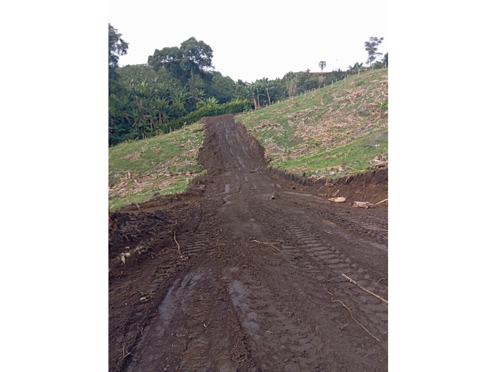 VENTA LOTE CHINCHINA CALDAS | LOTES CAMPESTRE - 5
