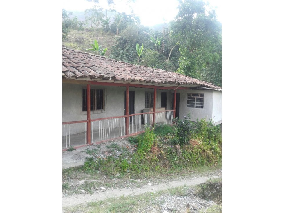 FINCA CAFETERA EN VENTA EN VEREDA PARTIDAS, CHINCHINÁ | VENTA FINCA - 5