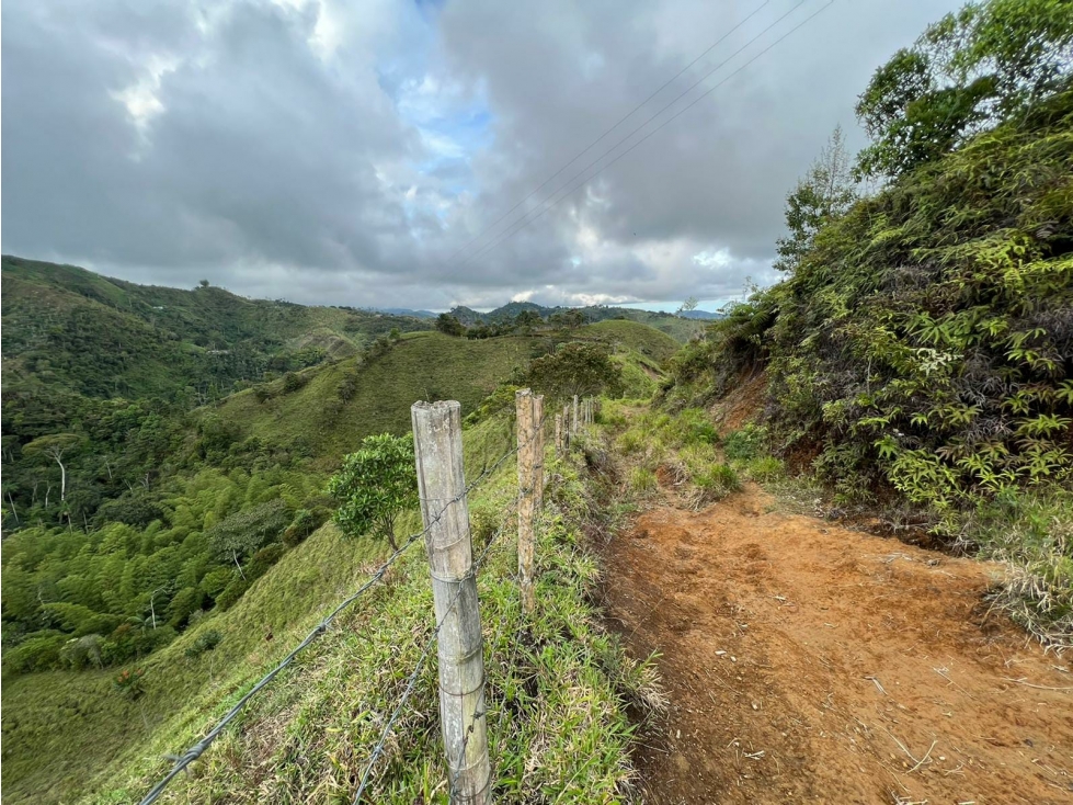 VENTA DE FINCA EN VEREDA PARAMILLO, FRESNO, TOLIMA - 6