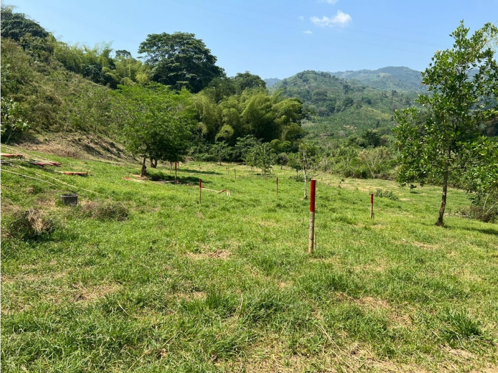 53 LOTES CAMPESTRES EN VENTA DESDE 950m² HASTA 2500m² LAS MARGARITAS — foto 6