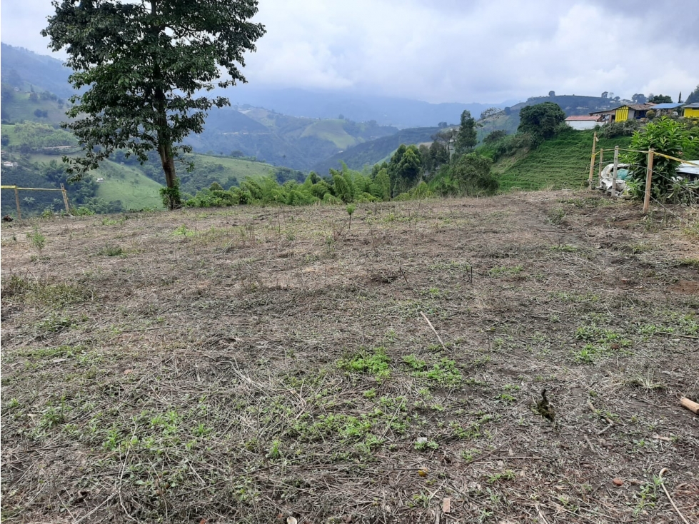 LOTE EN VENTA EN LA SIRIA, MANIZALES | VENTA DE LOTES — foto 2