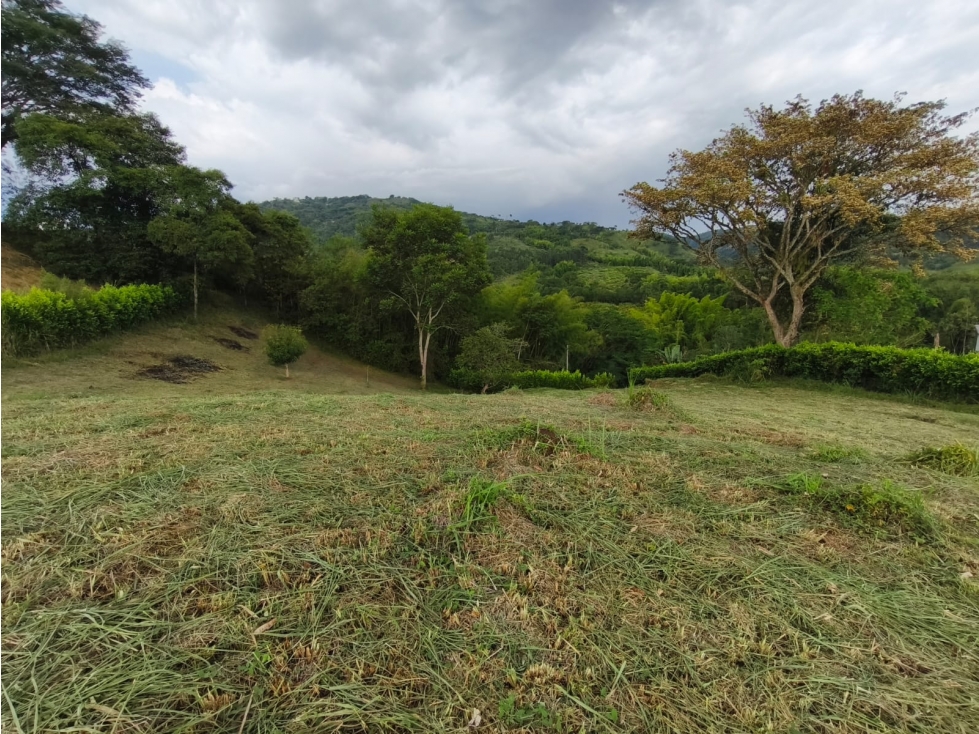 LOTE EN VENTA EN CONJUNTO CERRADO EN NEIRA CALDAS | VENTA LOTES - 2