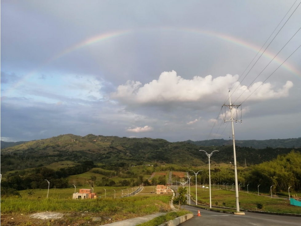VENTA LOTE VIRGINIA Y VITERBO, CALDAS