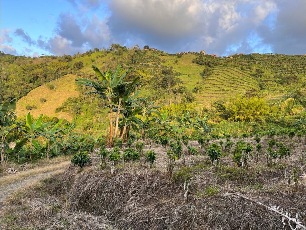 LOTE EN VENTA EN LA CABAÑA MANIZALES | VENTA LOTE
