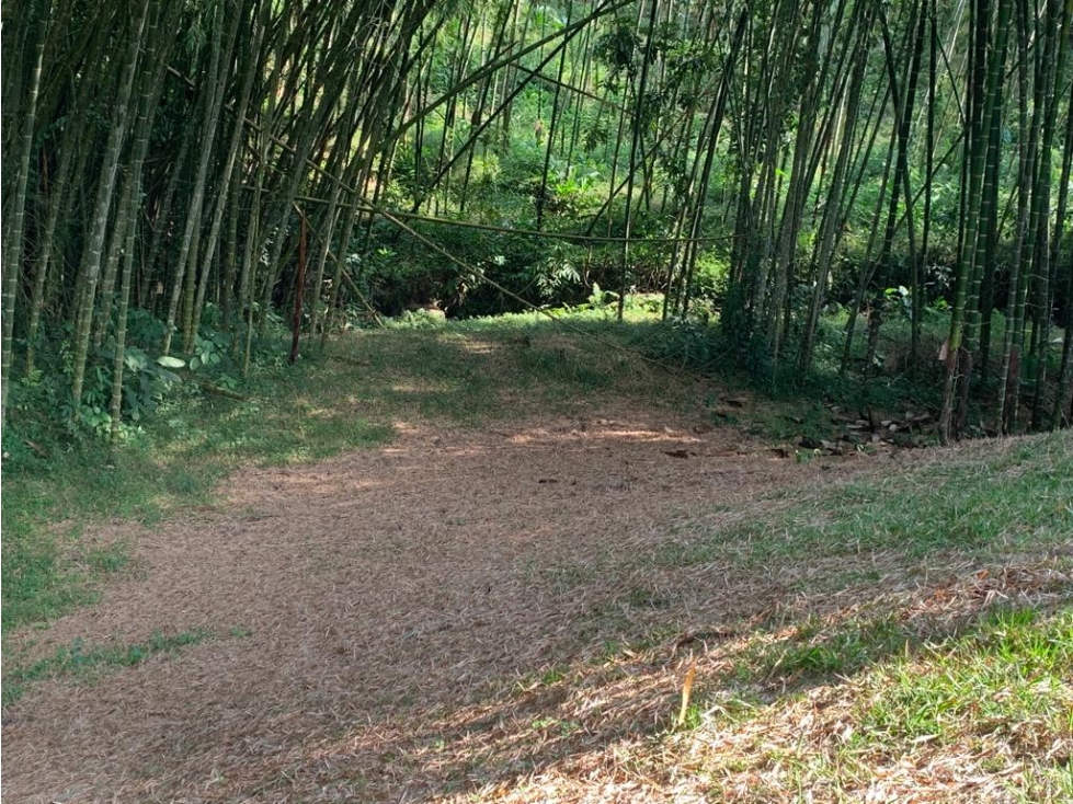 Se vende Lote vía Cerritos entrada 8 Cafelia - Pereira