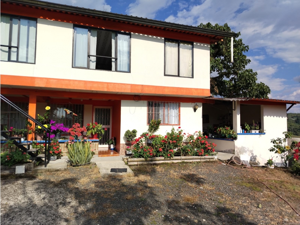 Se vende finca Vereda Pérez bajo, Pereira — foto 4
