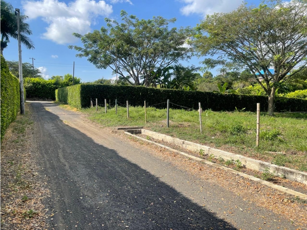 Se Venden Lotes en Parcelación Cerritos-La Virginia