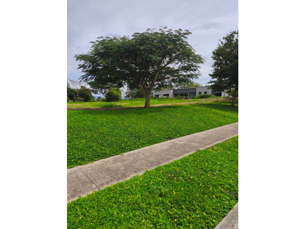 Se Vende espectacular lote en Cerritos, Pereira