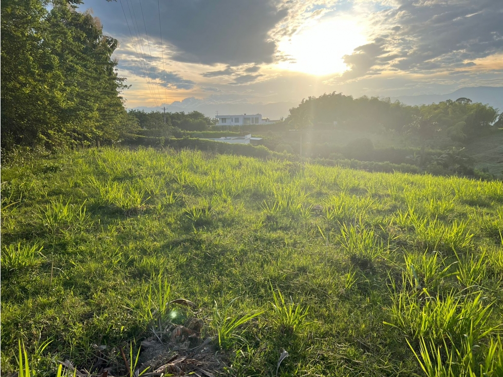 Se Vende lote en Cerritos- Pereira