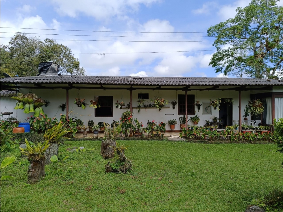 Se vende Finca Vía Pereira-Armenia, Vereda Tribunas- Pereira — foto 4