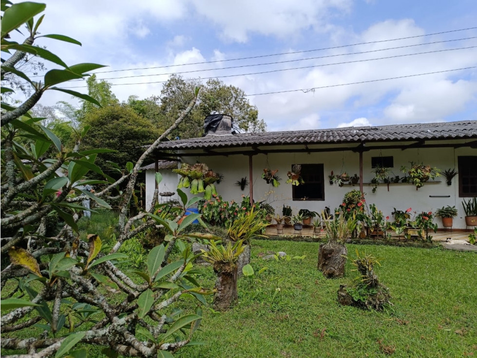 Se vende Finca Vía Pereira-Armenia, Vereda Tribunas- Pereira — foto 5