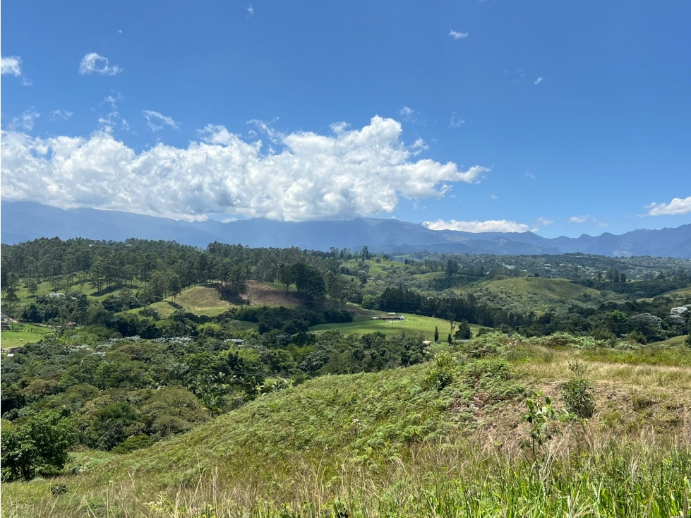 Se Vende Lote para Urbanizar, Filandia, Quindío - 2