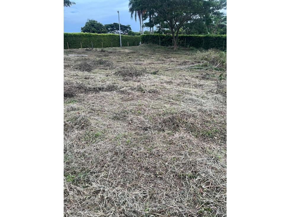 Se Venden Lotes en Parcelación Cerritos-La Virginia — foto 5