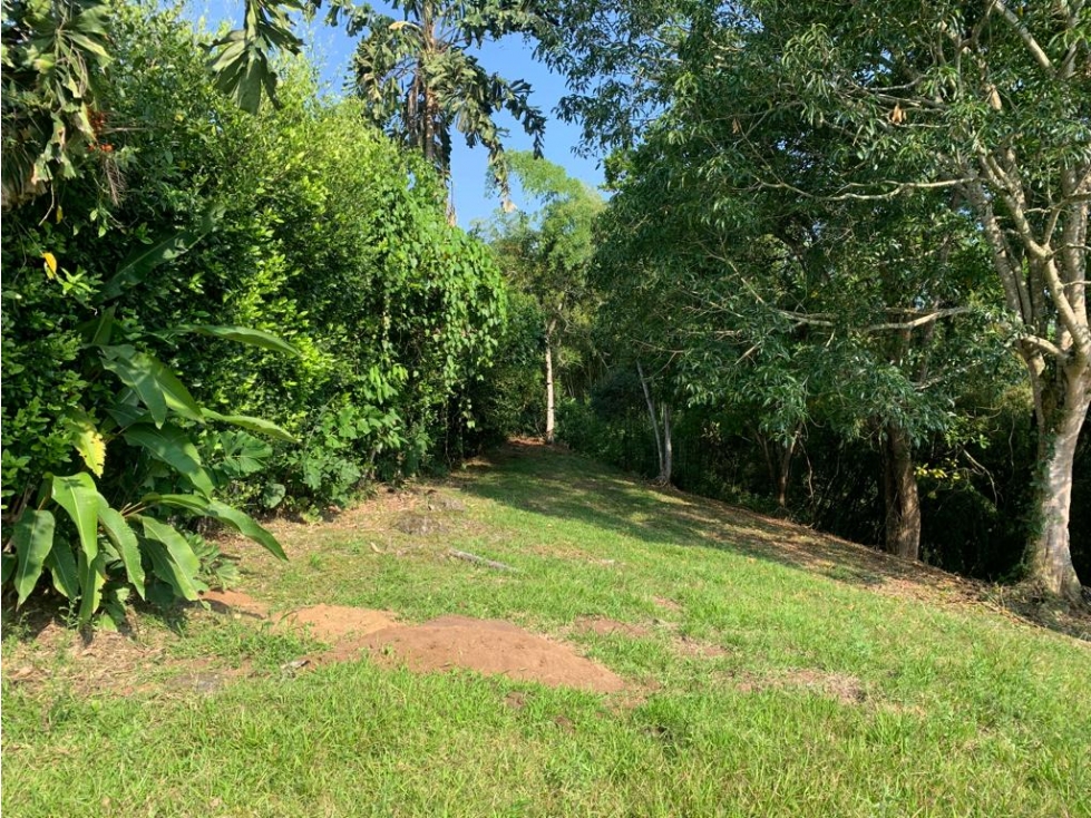 Se vende Lote vía Cerritos entrada 8 Cafelia - Pereira — foto 4