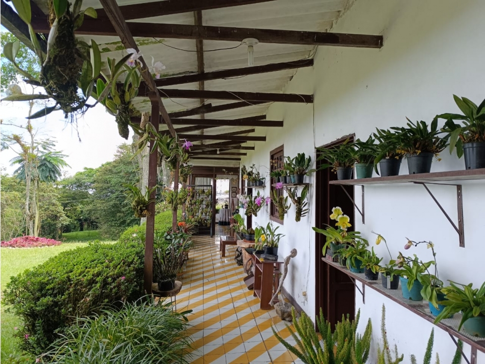 Se vende Finca Vía Pereira-Armenia, Vereda Tribunas- Pereira