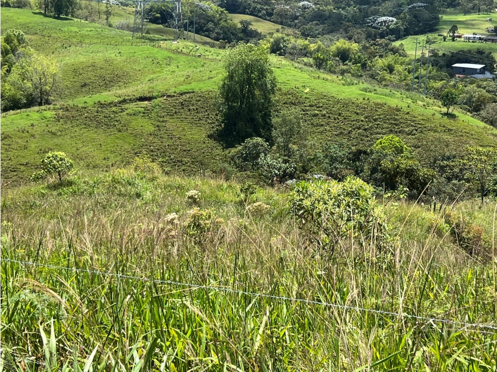 Se Vende Lote para Urbanizar, Filandia, Quindío - 4