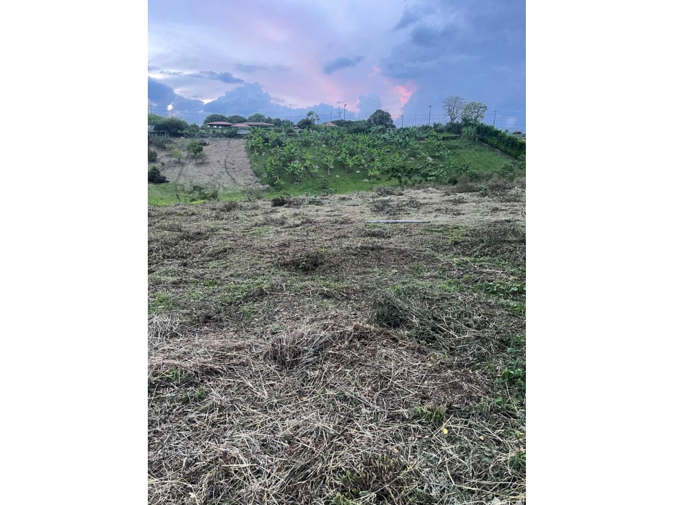Se Venden Lotes en Parcelación Cerritos-La Virginia — foto 6
