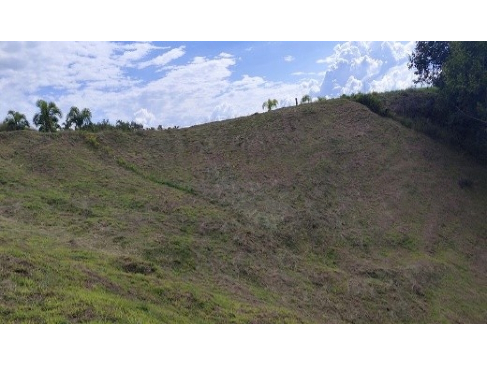 Se venden Lotes en el Condominio Búho Ciudad Cerritos Reserva Natural — foto 3
