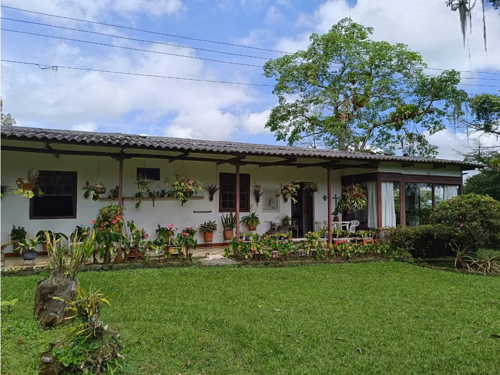 Se vende Finca Vía Pereira-Armenia, Vereda Tribunas- Pereira — foto 2