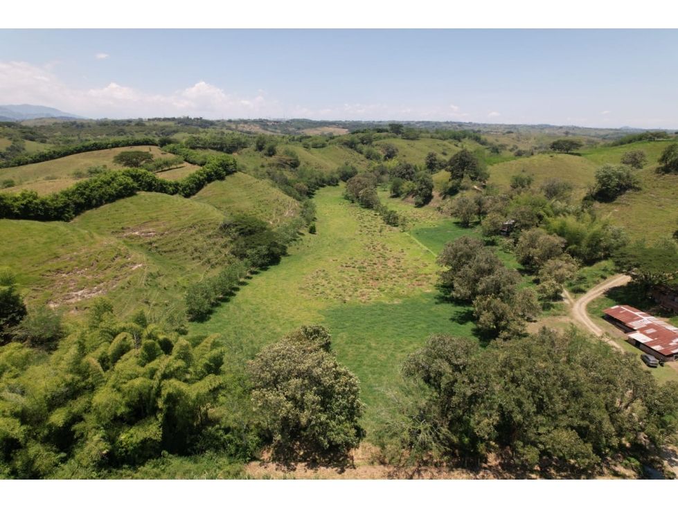 Se Vende Finca Ganadera Caimalito-La Virginia, Risaralda