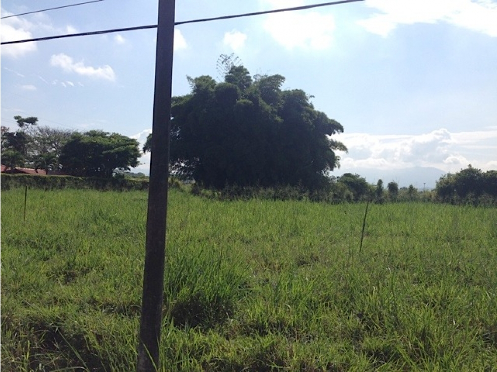 Se Vende Lote Campestre Independiente en Cerritos- Pereira — foto 5