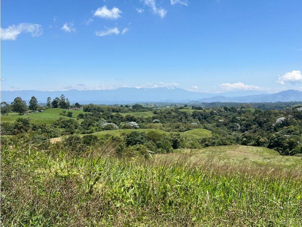 Se Vende Lote para Urbanizar, Filandia, Quindío - 1