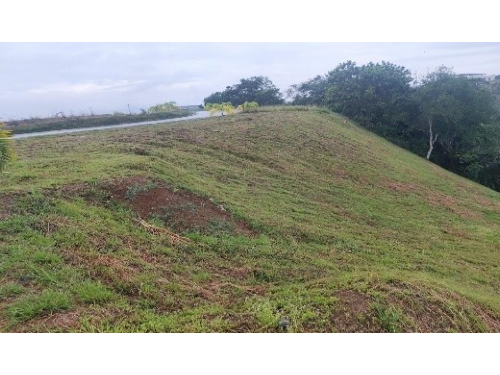 Se venden Lotes en el Condominio Búho Ciudad Cerritos Reserva Natural — foto 4