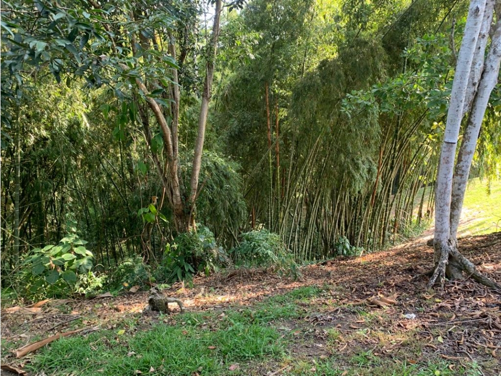 Se vende Lote vía Cerritos entrada 8 Cafelia - Pereira — foto 6