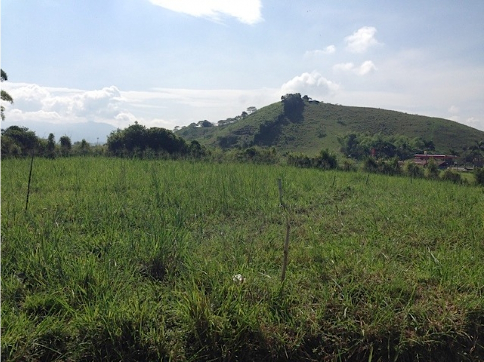 Se Vende Lote Campestre Independiente en Cerritos- Pereira — foto 6