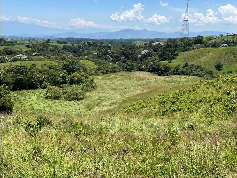 Se Vende Lote para Urbanizar, Filandia, Quindío - 5