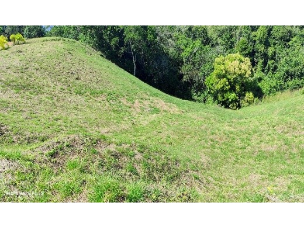 Se venden Lotes en el Condominio Búho Ciudad Cerritos Reserva Natural — foto 5