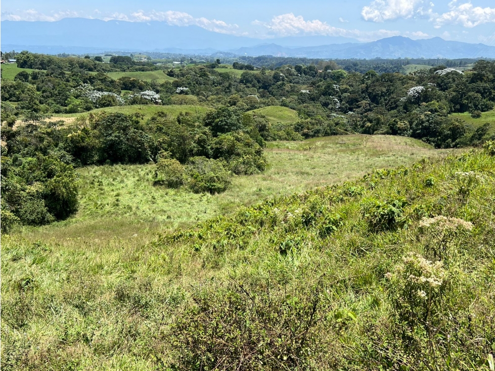 Se Vende Lote para Urbanizar, Filandia, Quindío - 6