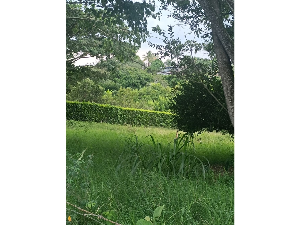 Se Venden Lotes en Parcelación Cerritos-La Virginia — foto 3