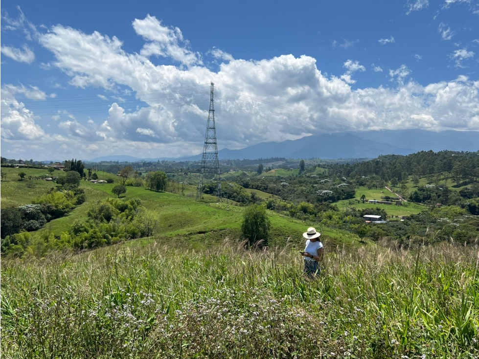 Se Vende Lote para Urbanizar, Filandia, Quindío - 3