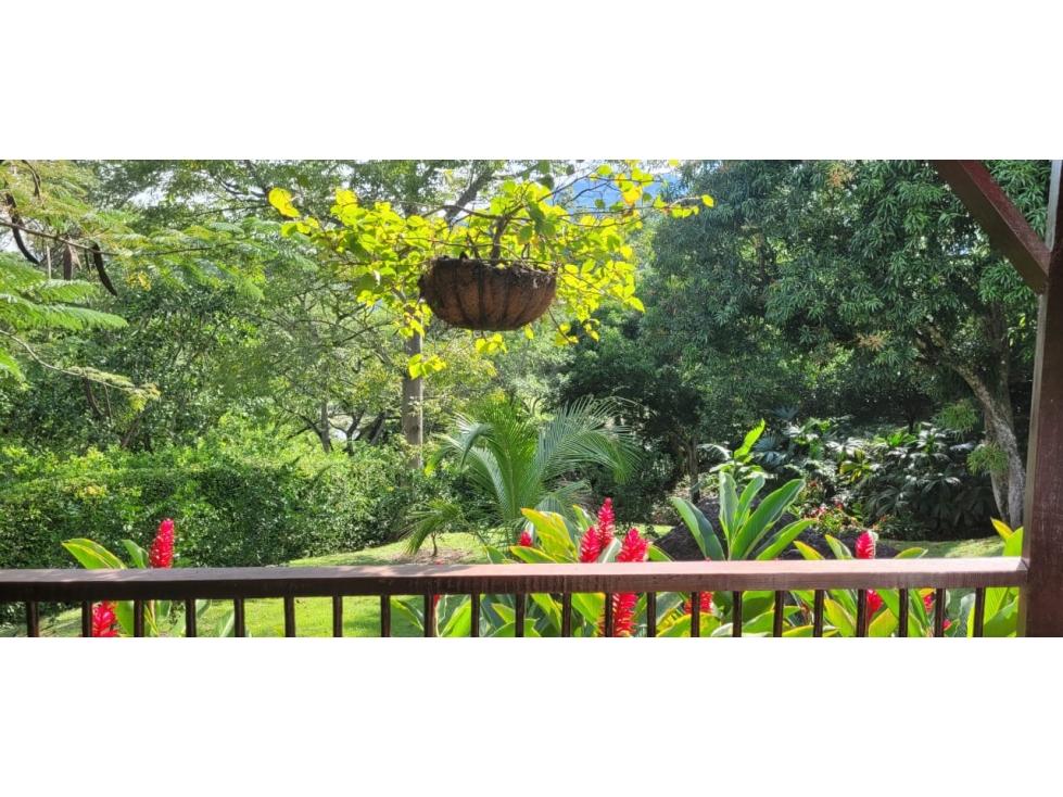 RHBR-12300 (FINCA Bolombolo Antioquia) — foto 3