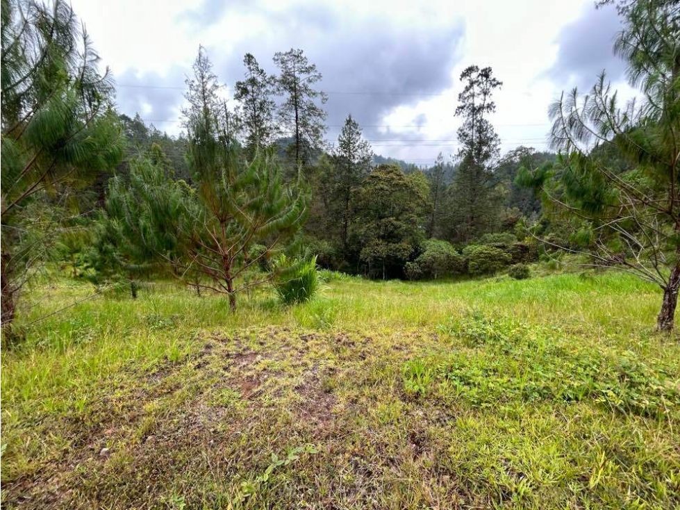 RHBR-11786 LOTE EN PARCELACIÓN (El Retiro, Via La Ceja) — foto 3