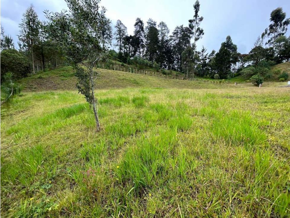 RHBR-11786 LOTE EN PARCELACIÓN (El Retiro, Via La Ceja) — foto 6