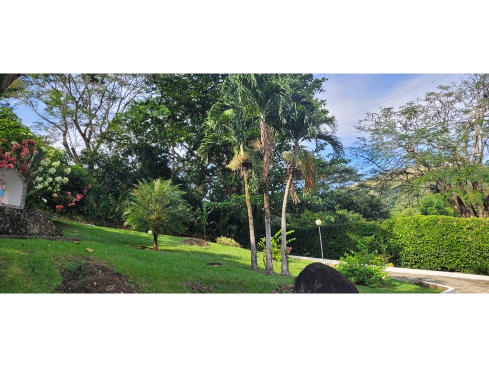 RHBR-12300 (FINCA Bolombolo Antioquia) — foto 4